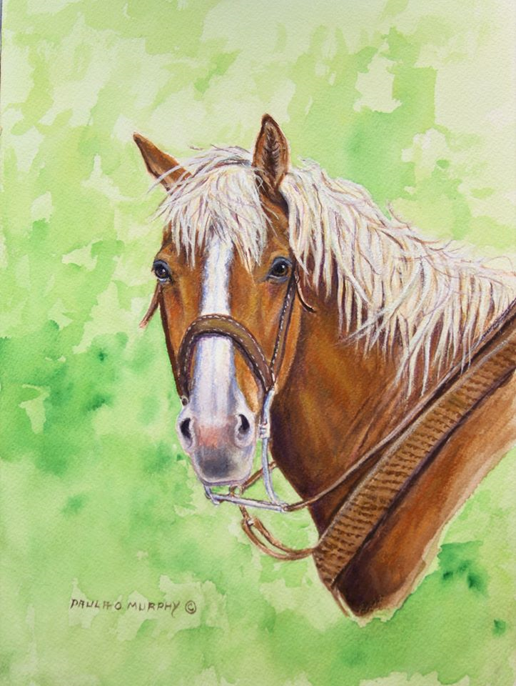Scruffy the horse a mixed media artwork by artist Paula O Murphy