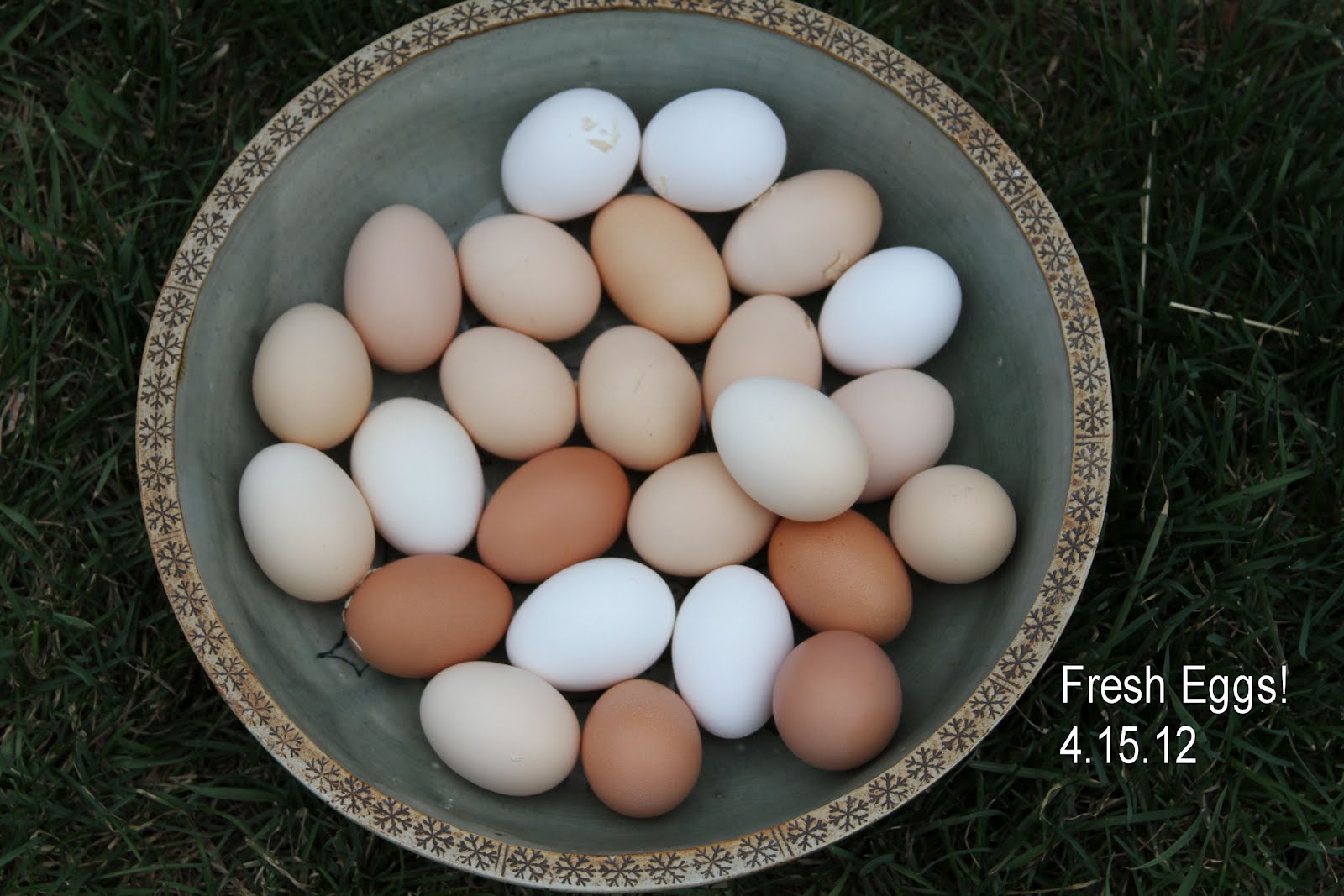 Fresh chicken eggs in big bowl